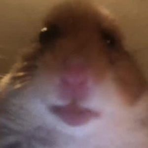 Meet your Posher, Sydney